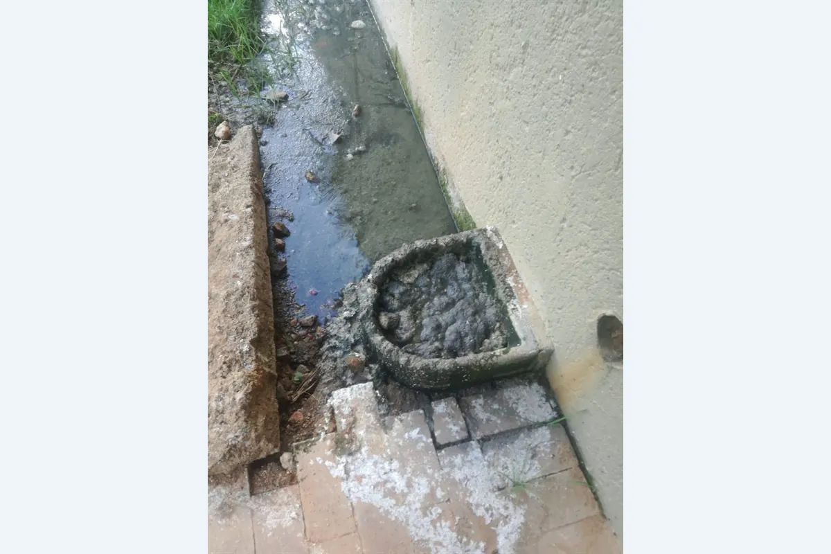Septic Tank Services service photo