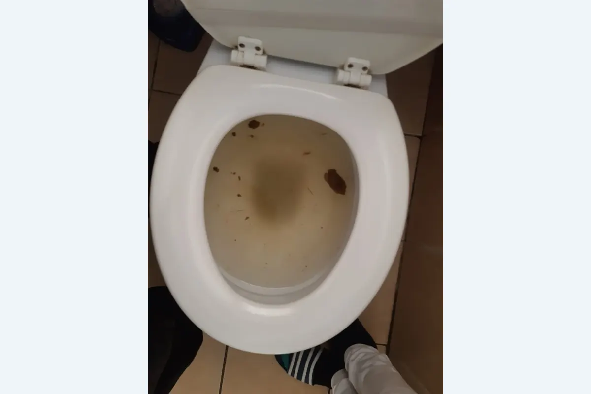 Local plumbing repair help in Craighall
