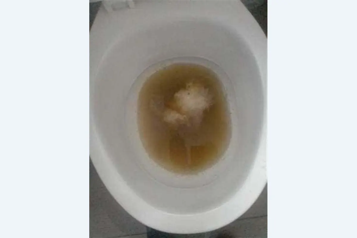 Blocked Toilet Clearing service photo